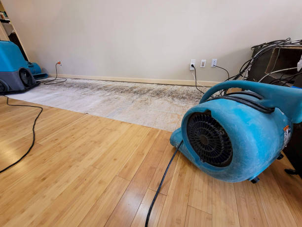 Professional Ceiling Water Damage Repair technician working in Janesville, IA