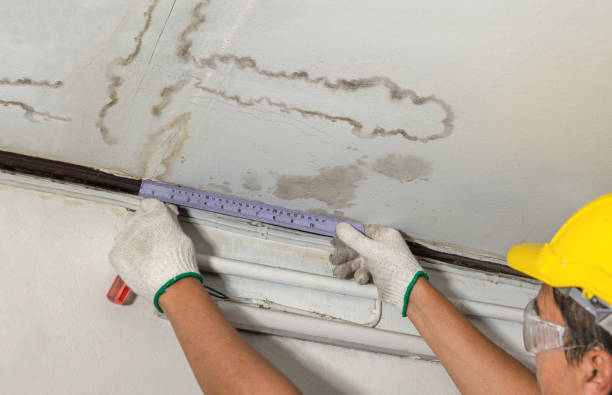 Affordable Ceiling Water Damage Repair solutions in Janesville, IA
